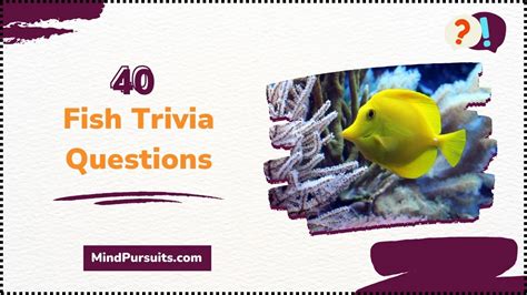 fish trivia|easy fish trivia.